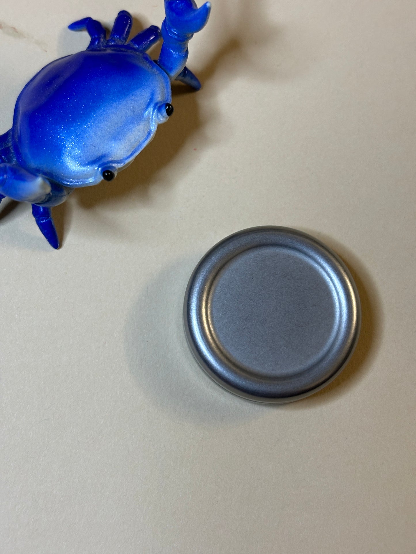 Nano milk cap - ss - haptic coin